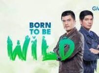 Born To Be Wild August 18 2024